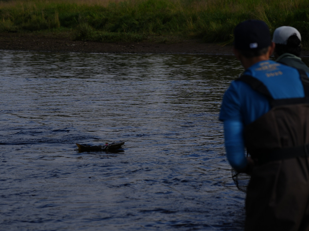 Natventure Tours-古斯塔夫斯必去景点