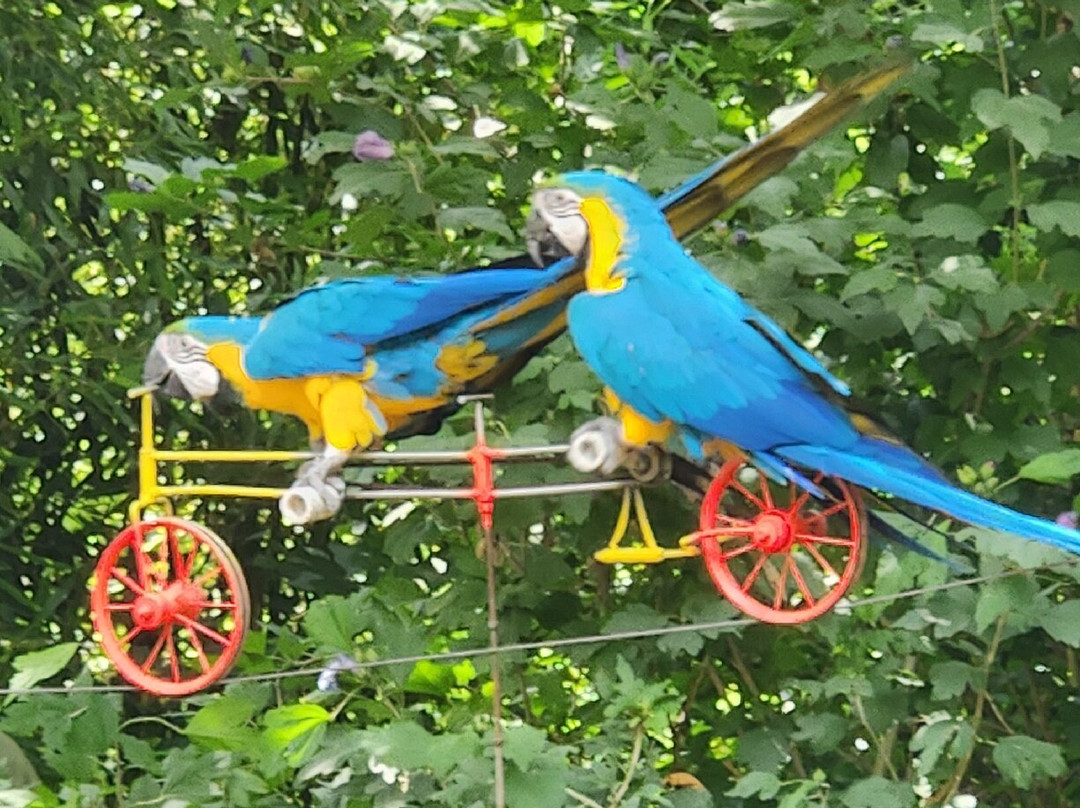 Le Parc des Perroquets-Bren必去景点