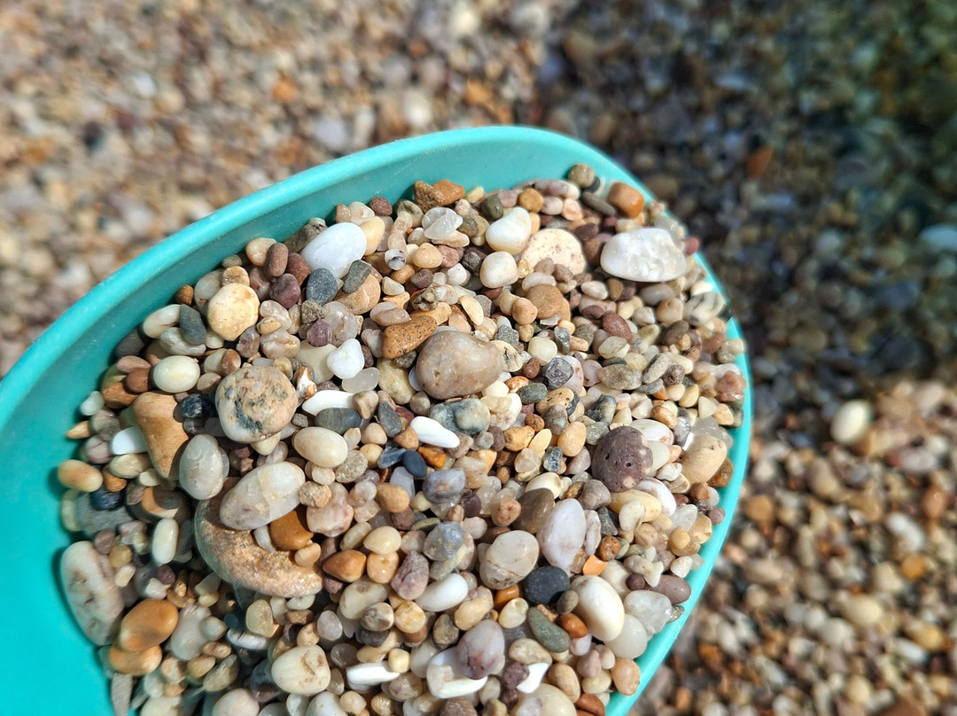 Blackpool Sands-达特茅斯必去景点