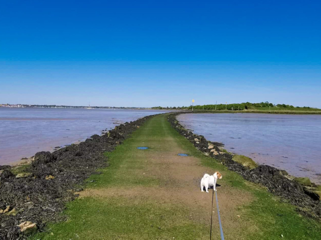 Northey Island-Maldon必去景点
