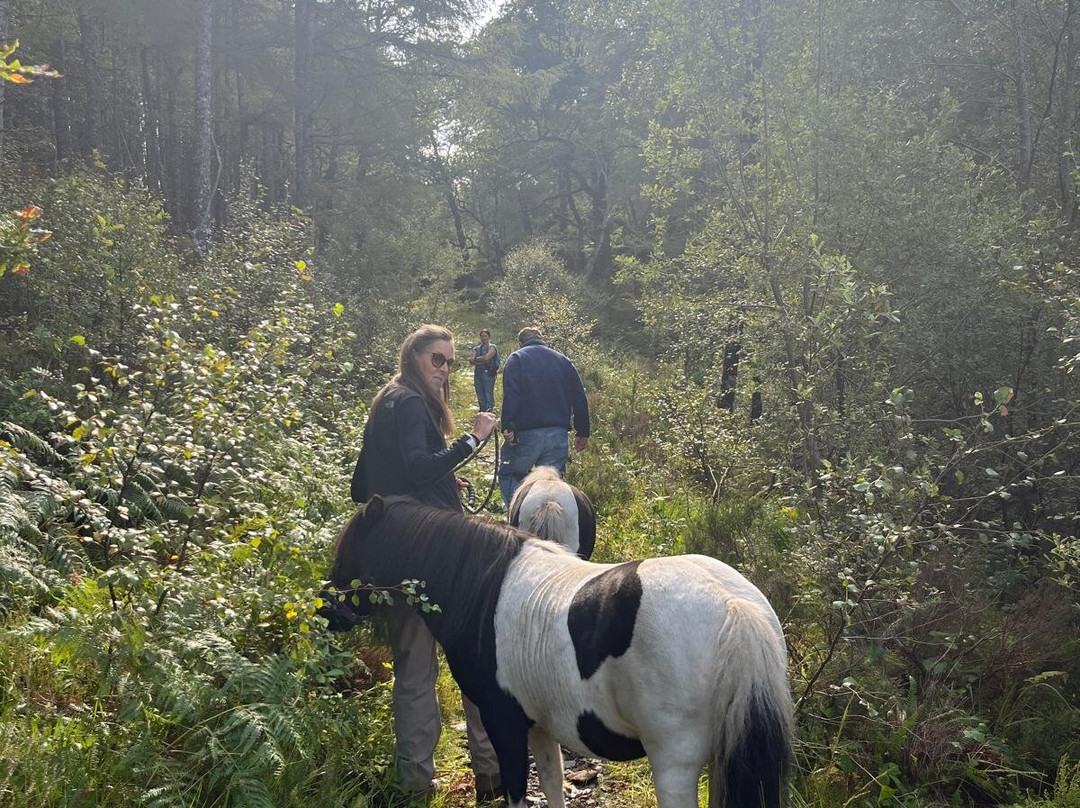 Horse Play Adventures Scotland-Acharacle必去景点