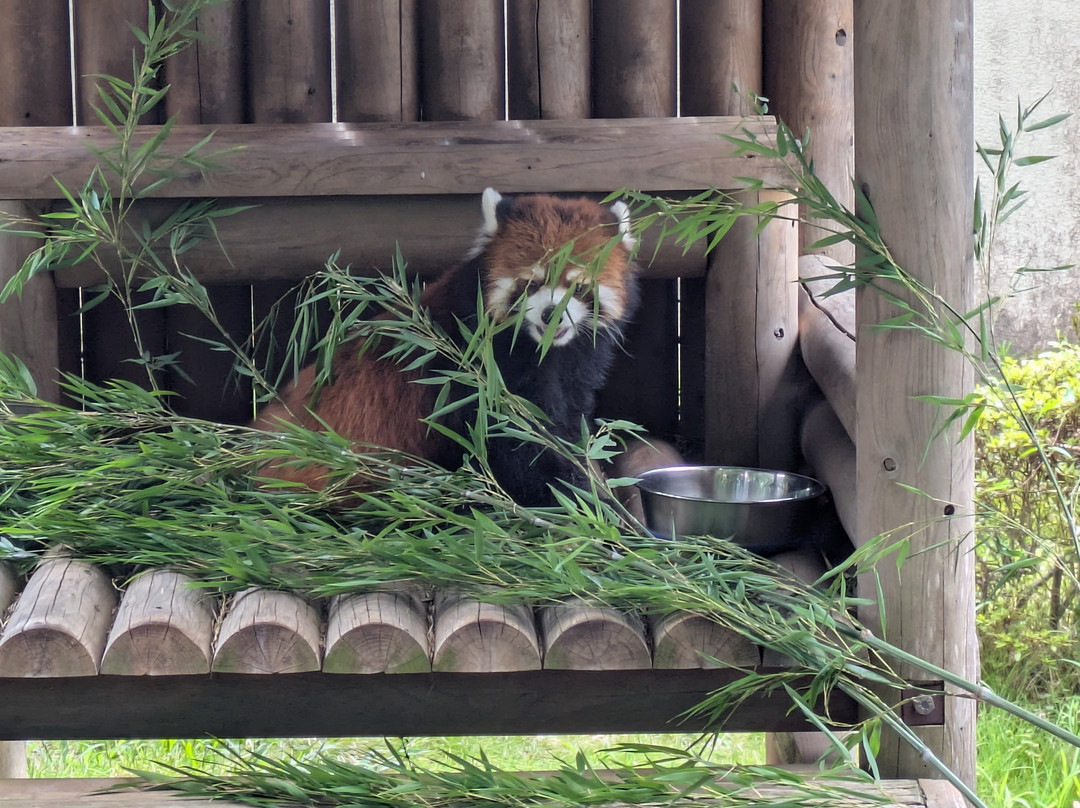 Rakujuen Park-三岛市必去景点