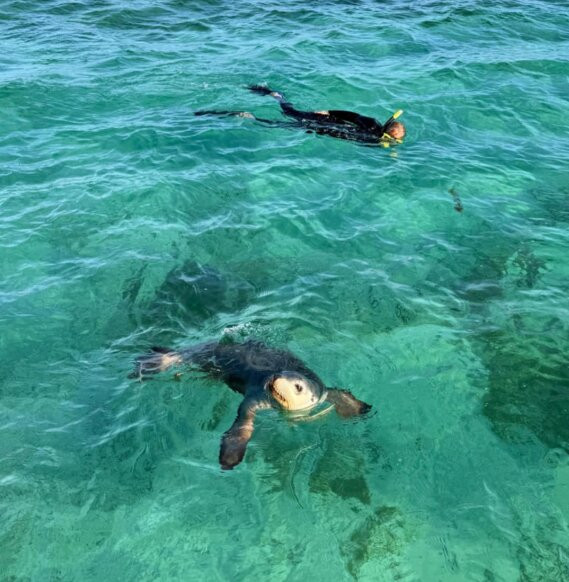 Jurien Bay Oceanic Experience-朱里恩湾必去景点