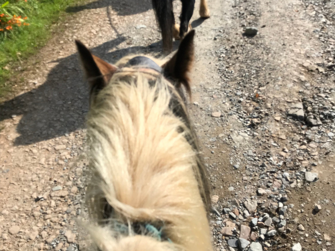 Lunga Riding Stables-Lochgilphead必去景点