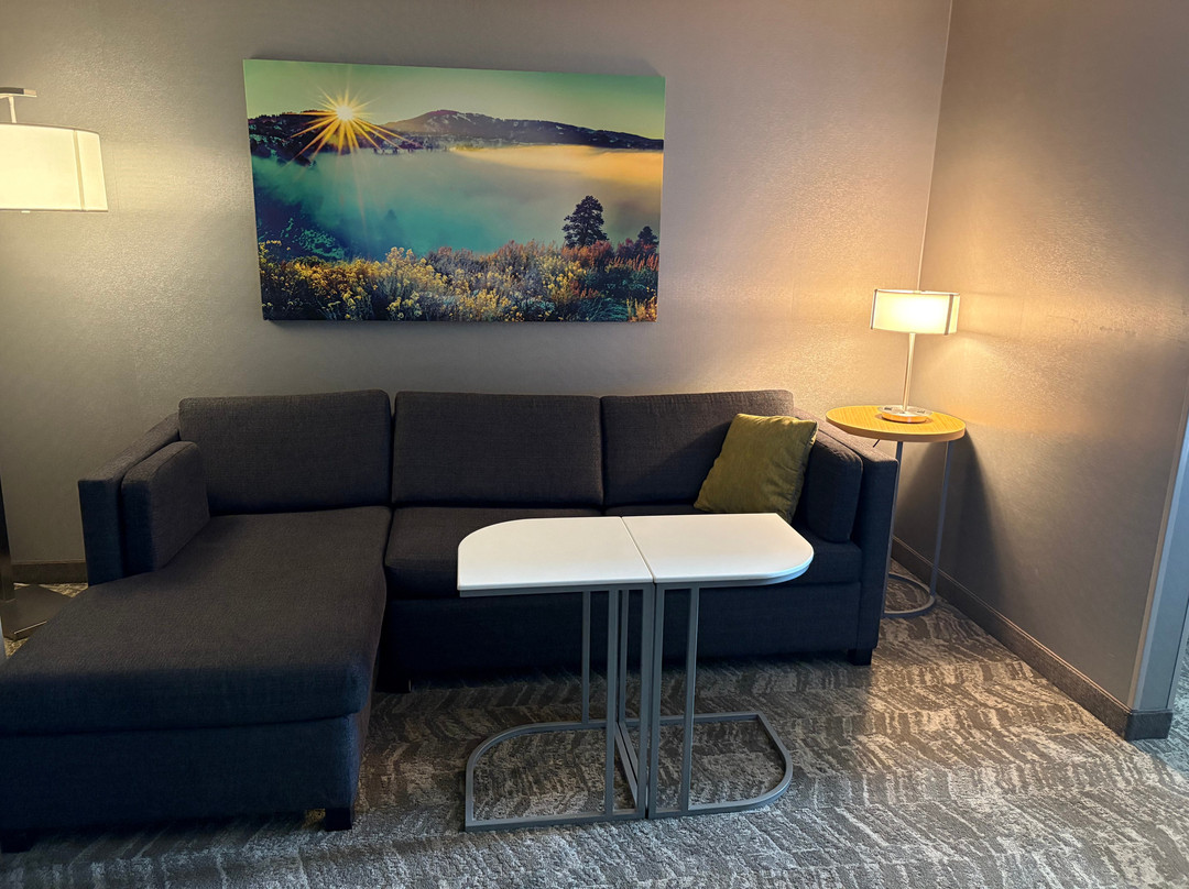 SpringHill Suites by Marriott Boise ParkCenter主图