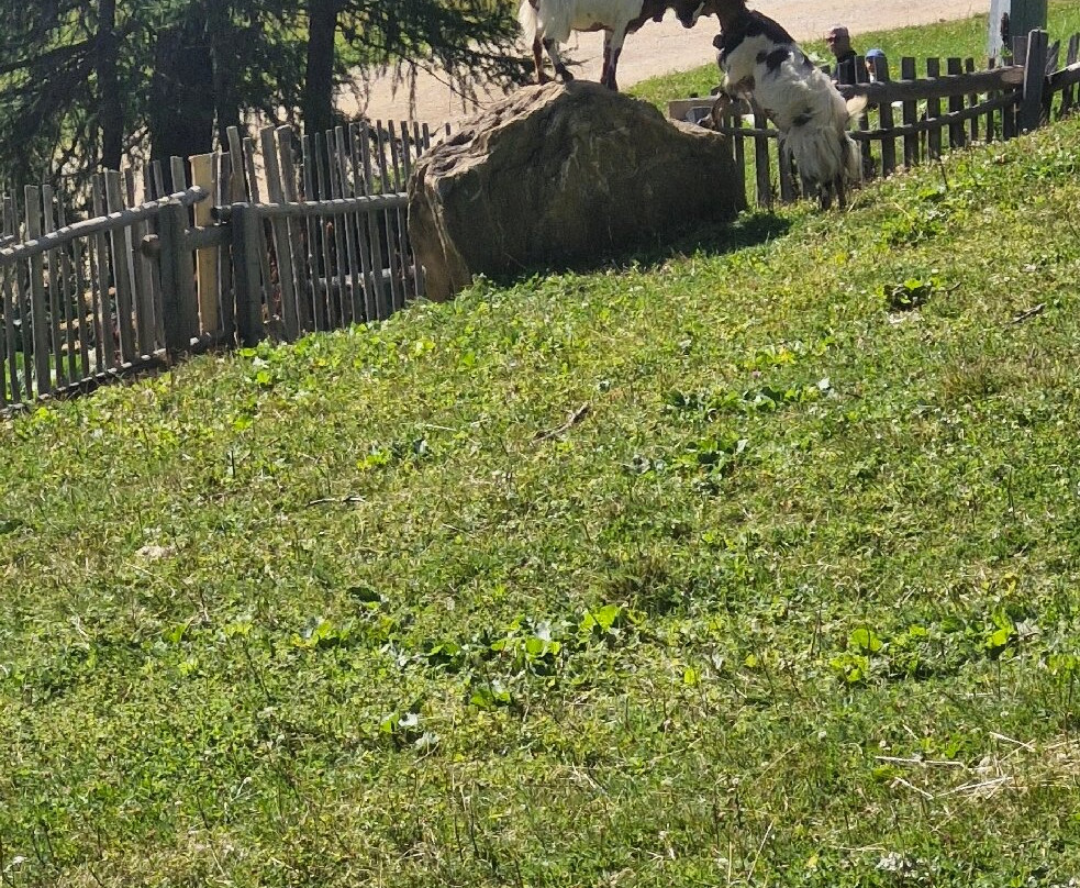 Rosskopf - Monte Cavallo-维皮泰诺必去景点