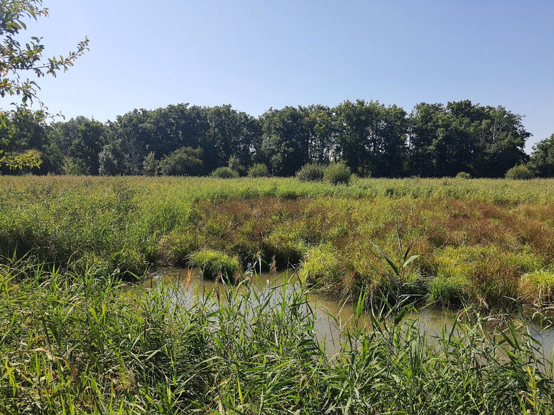 Domaine National de Chambord-香波堡必去景点