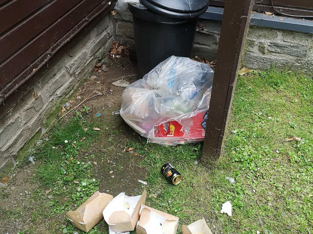 Forbes of Kingennie Country Resort Lodges主图