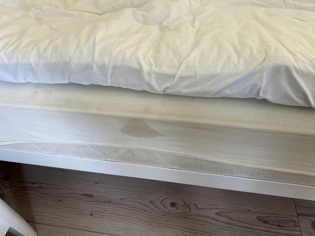 Forsbacka Wardshus主图