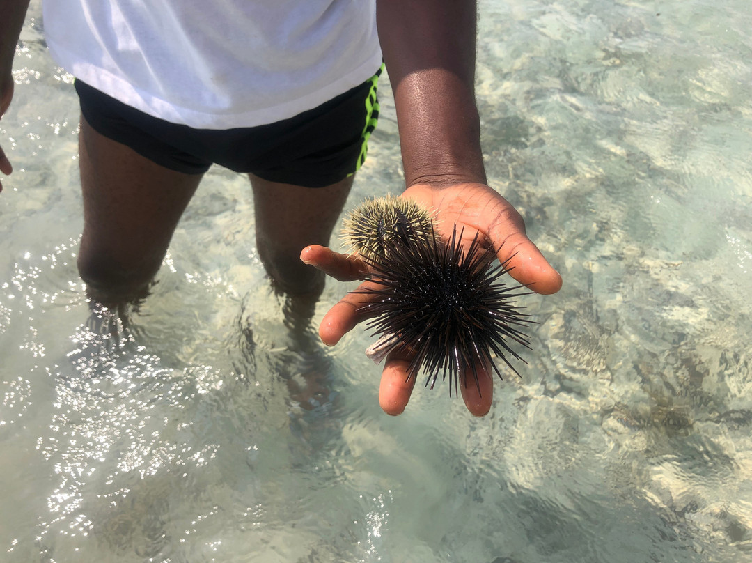 Pwani Mchangani Beach-Pwani Mchangani必去景点