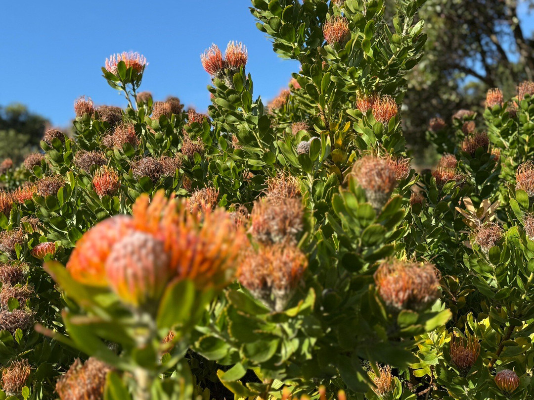 Taylor-Made Adventures-Cape Winelands District Municipality必去景点