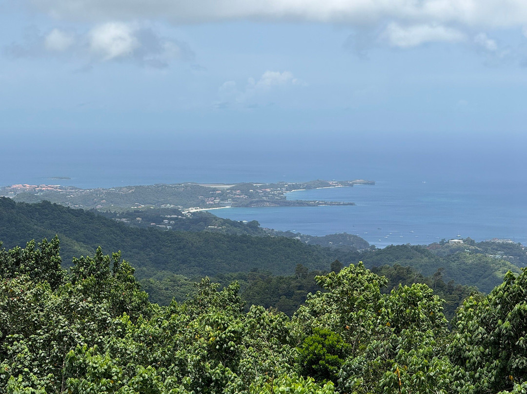 Ace Ventura Taxi & Tours-St. George's必去景点