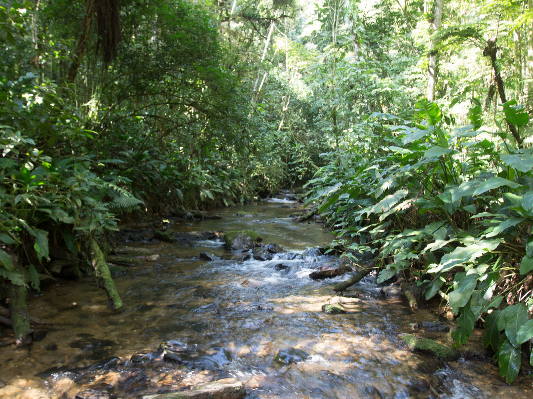 Parque das Grutas e Cavernas de Botuverá-Botuvera必去景点