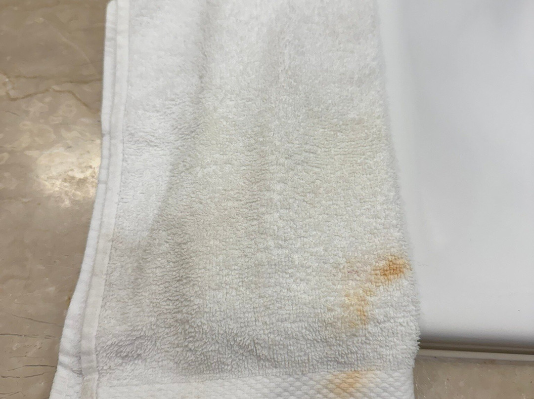 NH Collection Guadalajara Providencia主图