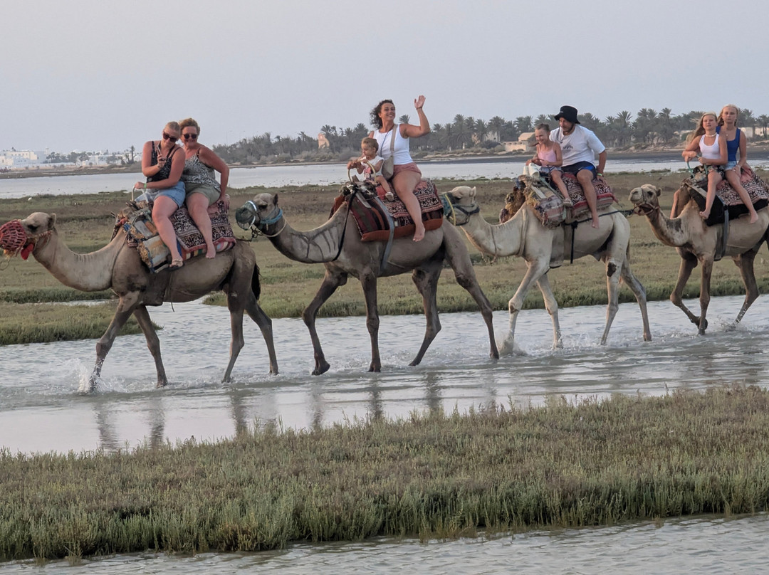 Ranch Yassmina Djerba La Douce-米栋必去景点