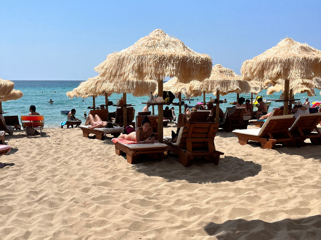 Samanà Beach-Punta Prosciutto必去景点