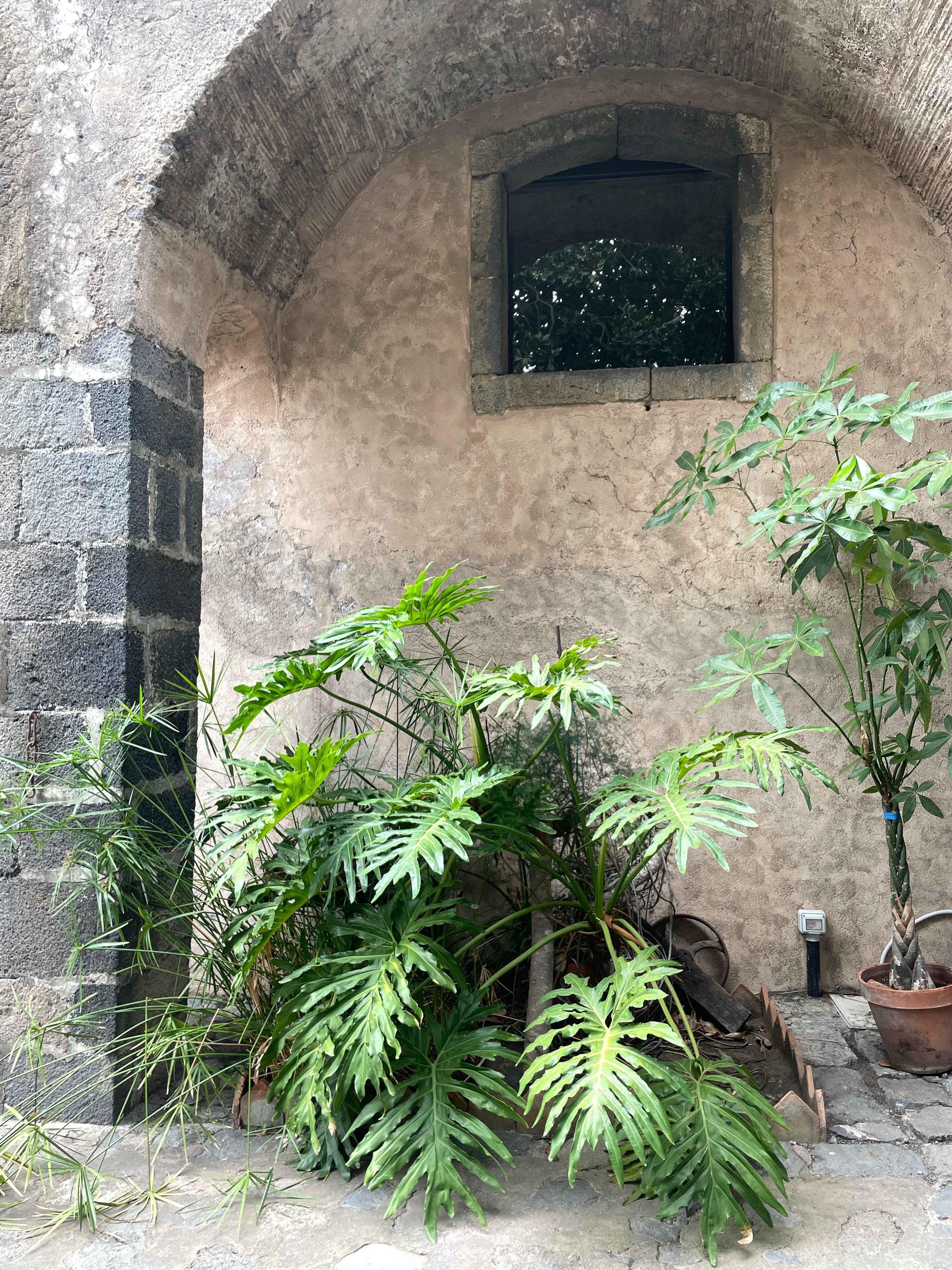 Puleera Boutique Hotel-官方