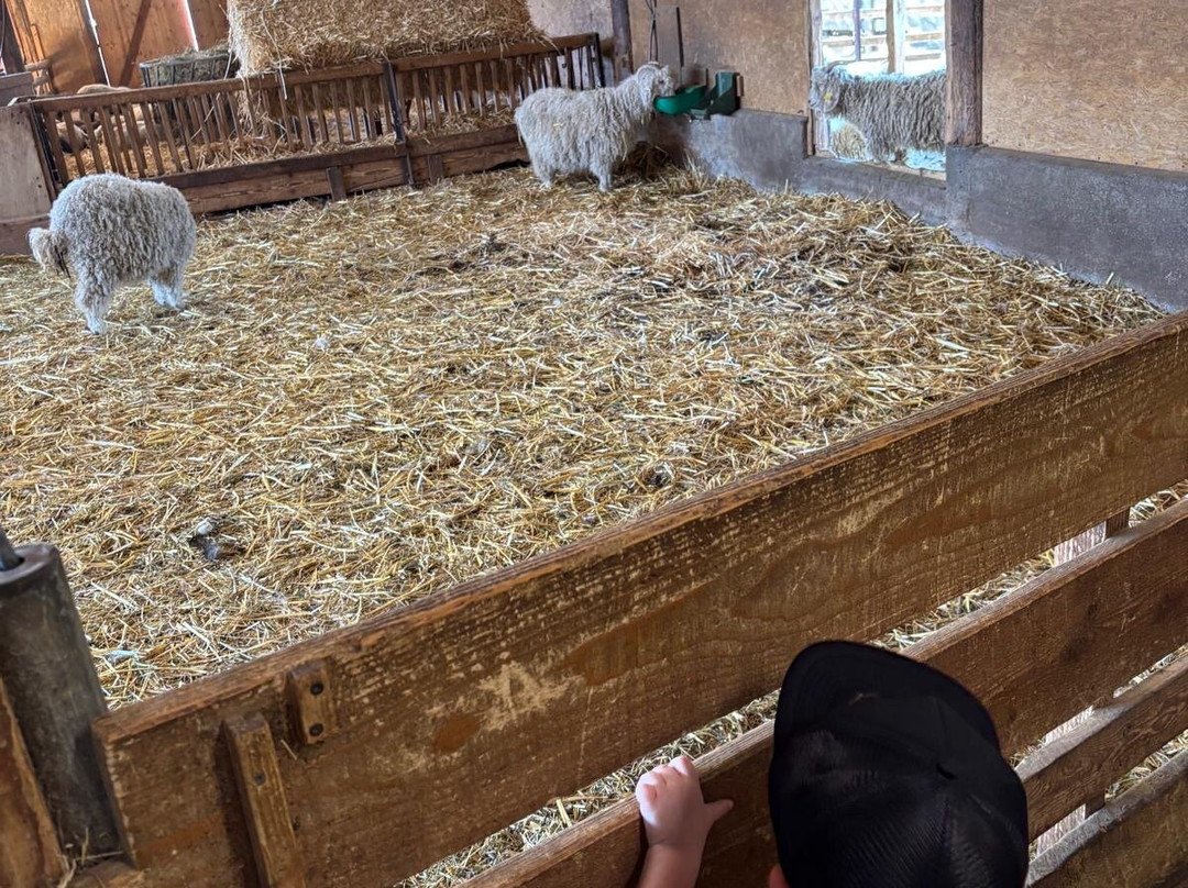 La Ferme Du Col-Jarjayes必去景点