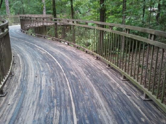 Garvan Woodland Gardens-温泉城必去景点