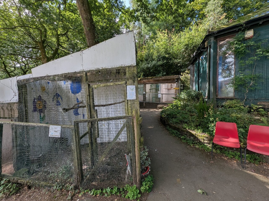 Festival Park Owl Sanctuary-Ebbw Vale必去景点