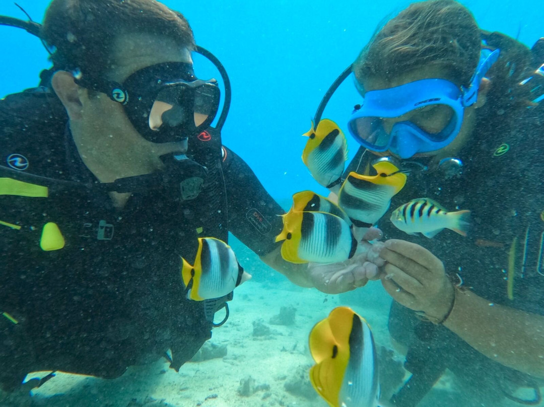 Mahana Dive-Fare必去景点