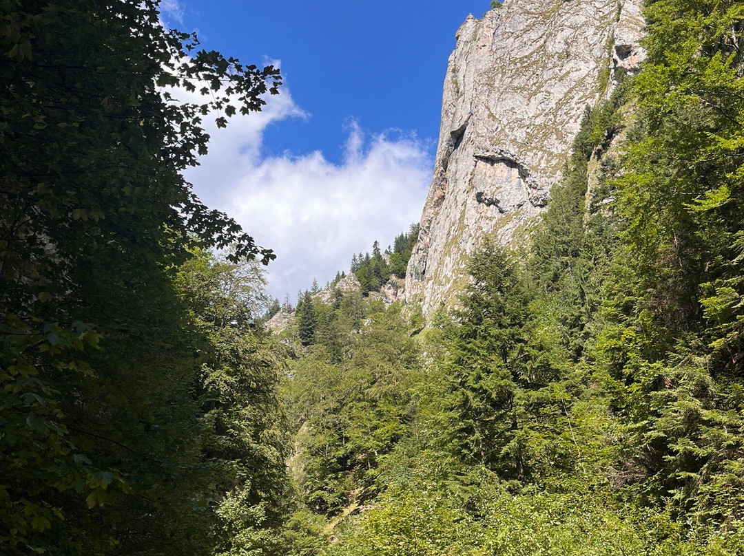 Prăpăstiile Zărneștiului-Zarnesti必去景点