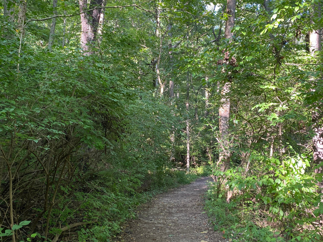 John Bryan State Park-Yellow Springs必去景点