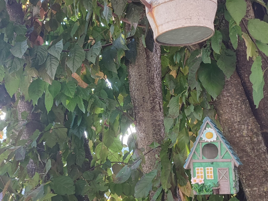 Libreria Sopra La Penna-Lucignana必去景点