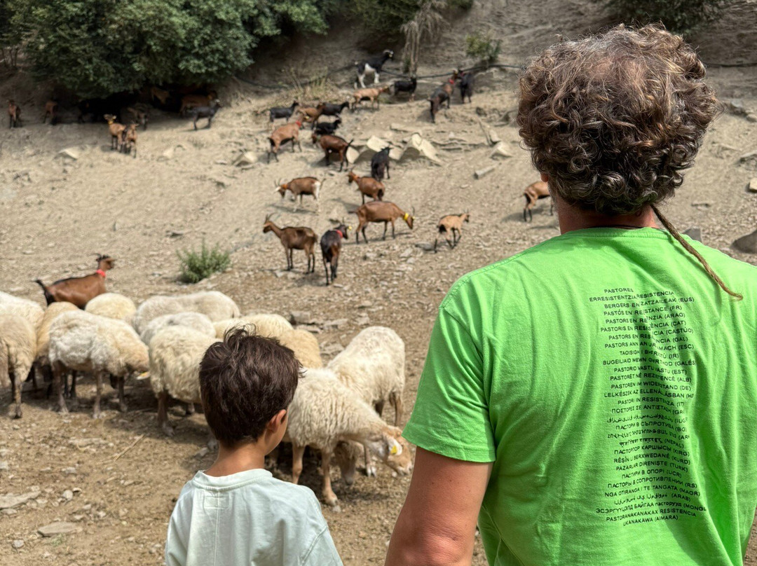 La Cañabla-Broto必去景点