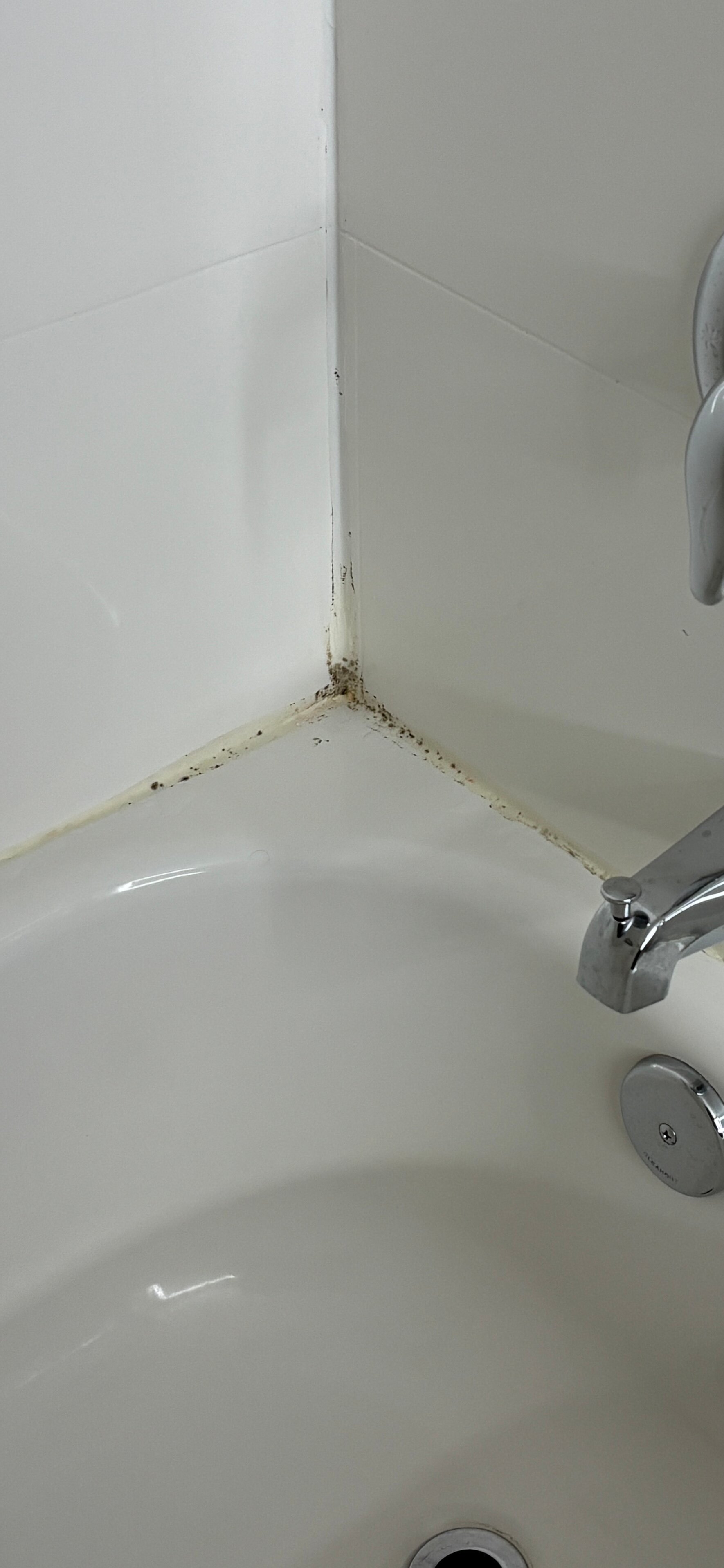 Best Western Rock Hill-客卧