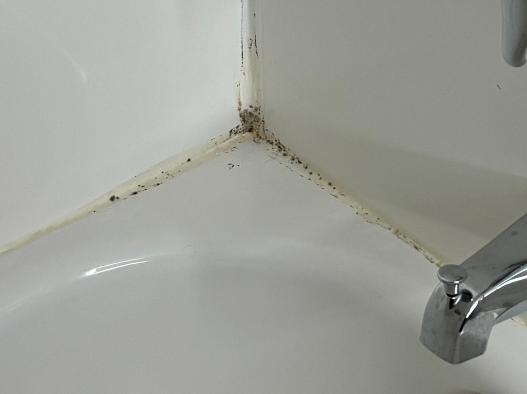 Best Western Rock Hill主图