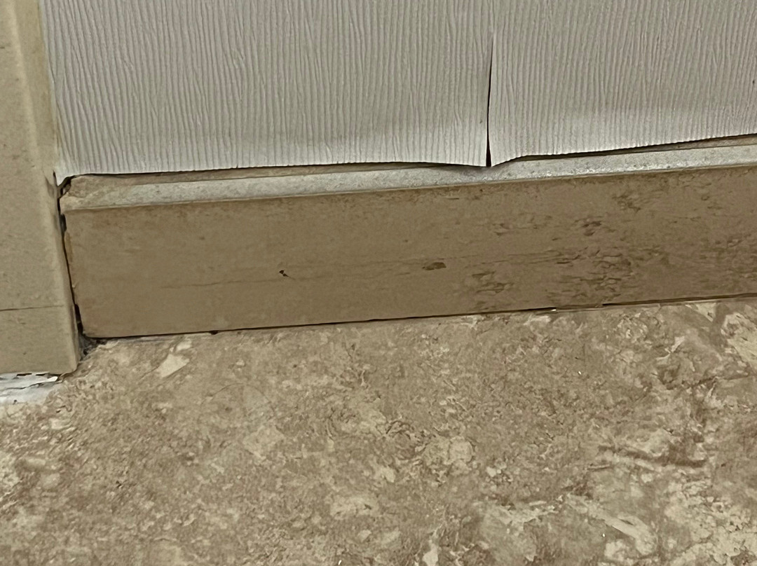 丹伯里贝瑟尔I-84假日酒店主图