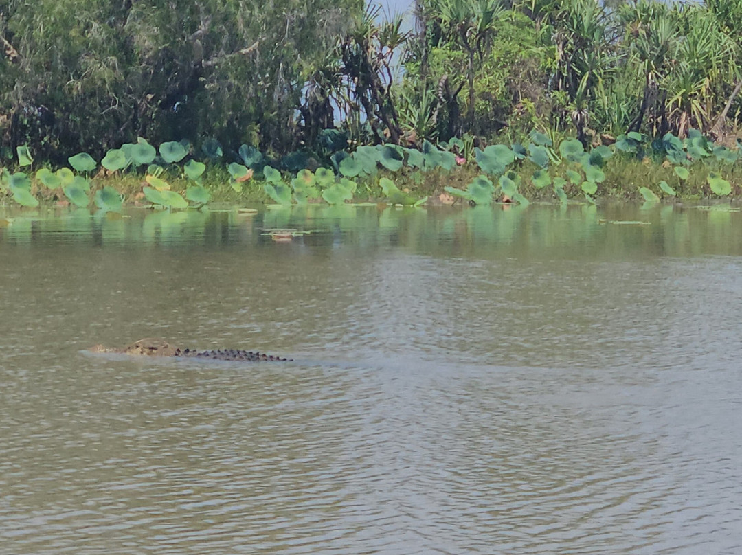 Wildlands Wetlands Safari Cruises-达尔文市必去景点
