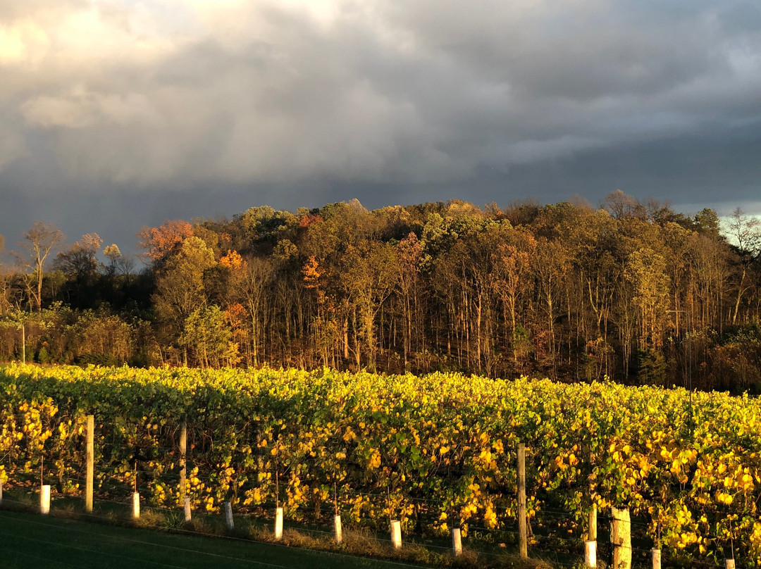 Virginia Mountain Vineyards-Fincastle必去景点