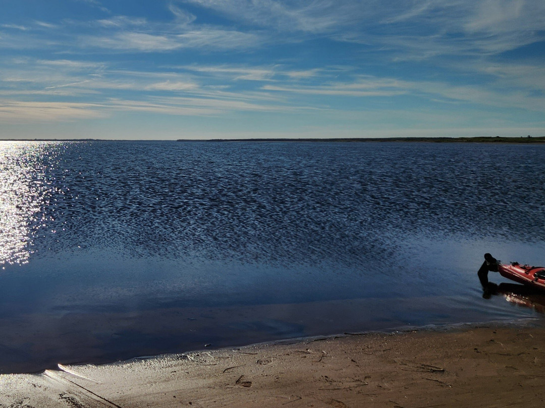 Malpeque Bay Kayak Tours-Malpeque必去景点