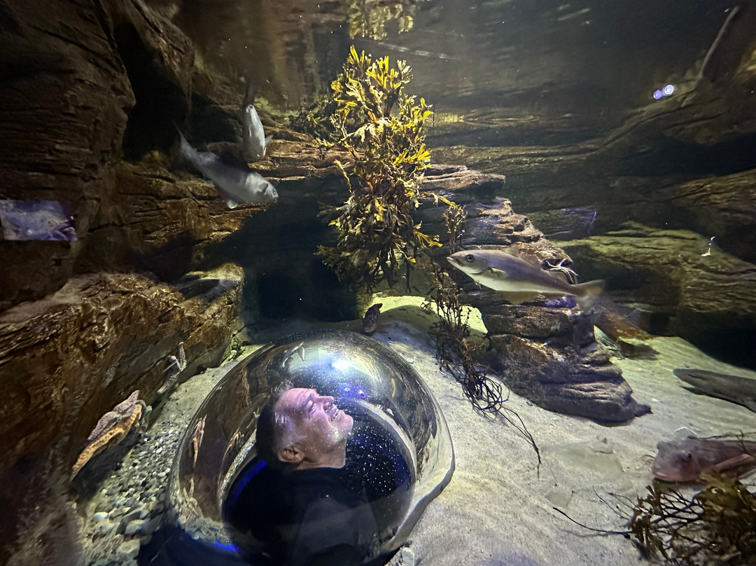 Achill Experience, Aquarium & Visitor Centre-Achill Island必去景点