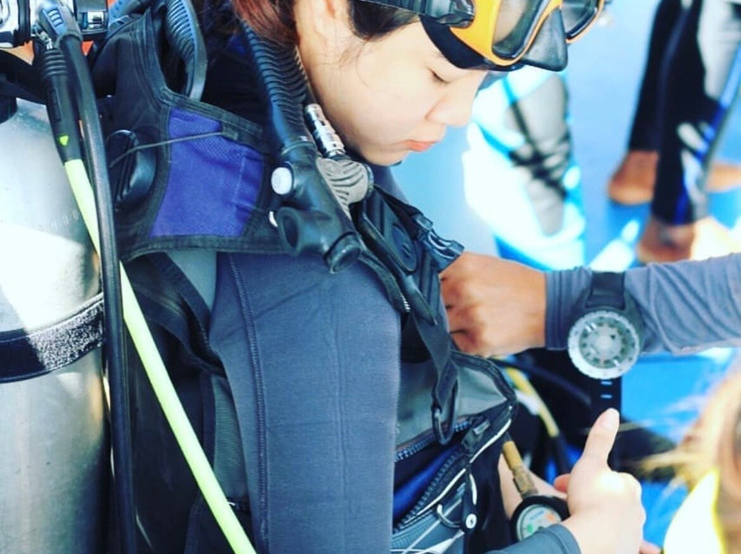 Dolphin Dive Centre Phuket-普吉岛必去景点