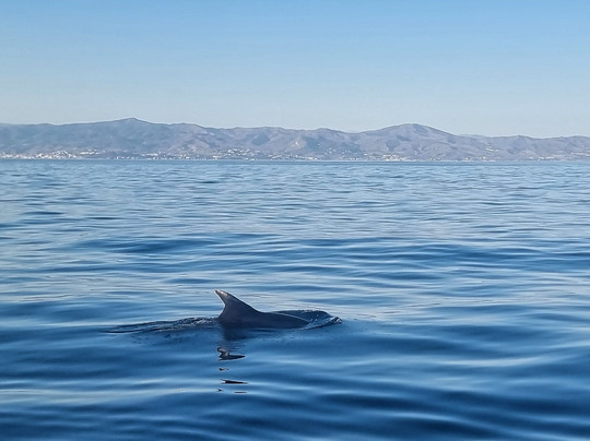 Borrasca Experience-班纳玛德纳必去景点