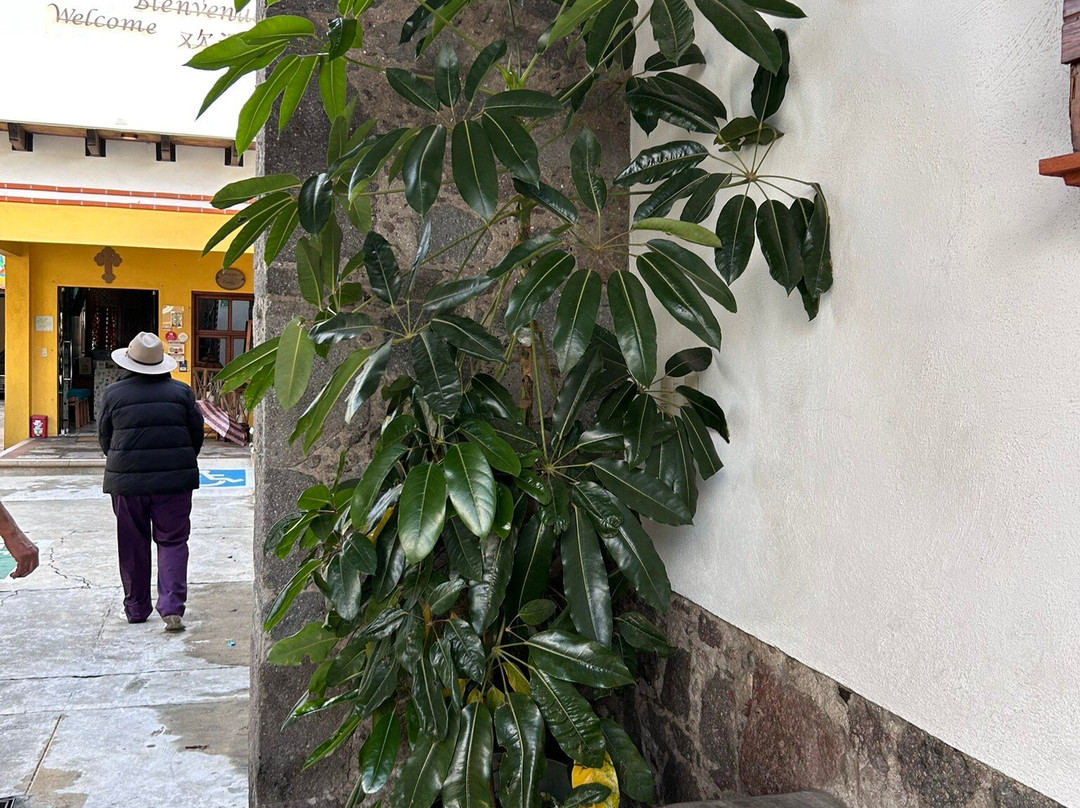 Hotel Las Candelas主图