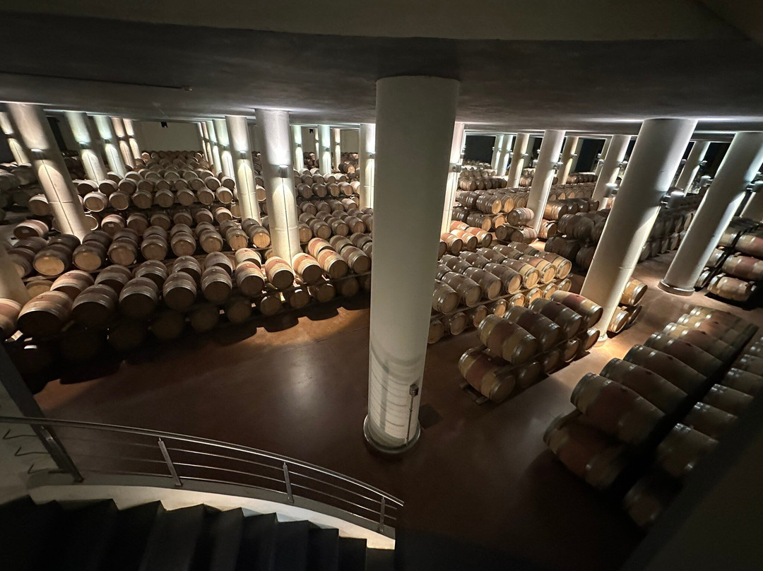 Castello Di Fonterutoli Wine Resort主图