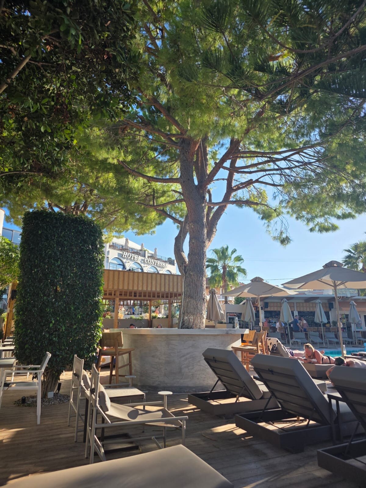 Contessa Hotel-泳池