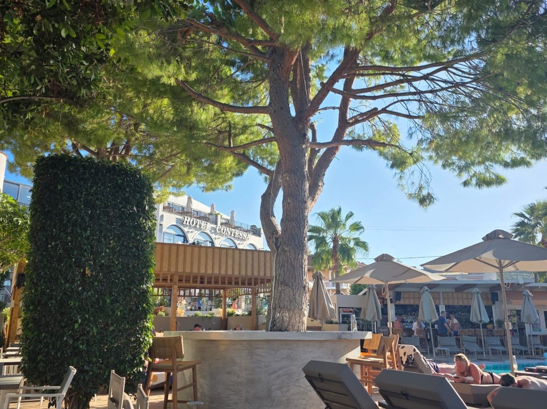 Contessa Hotel主图