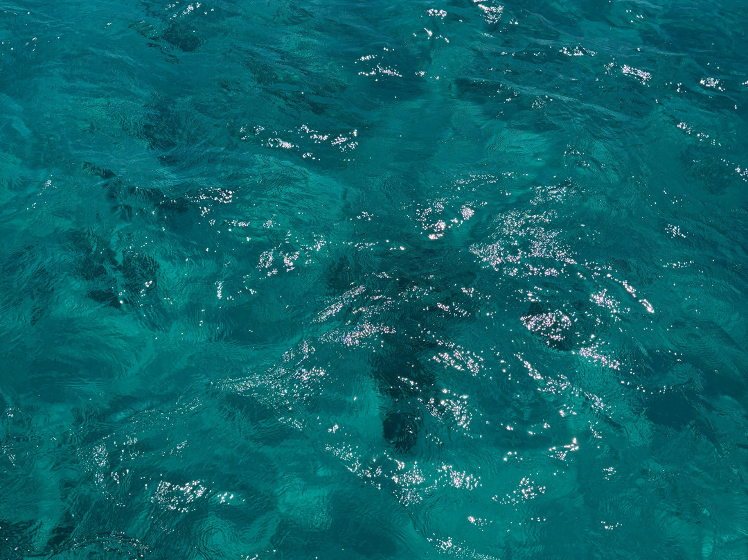 Escursioni Alghero Asinara-阿尔盖罗必去景点