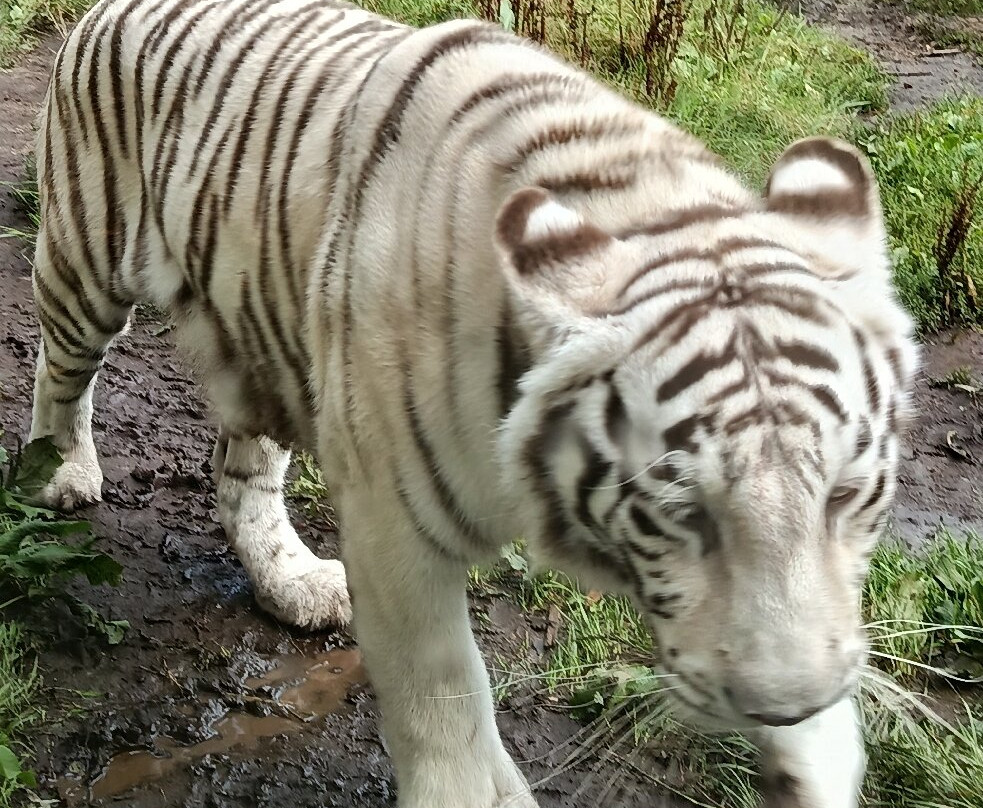Les Terres De Nataé-Pont-Scorff必去景点