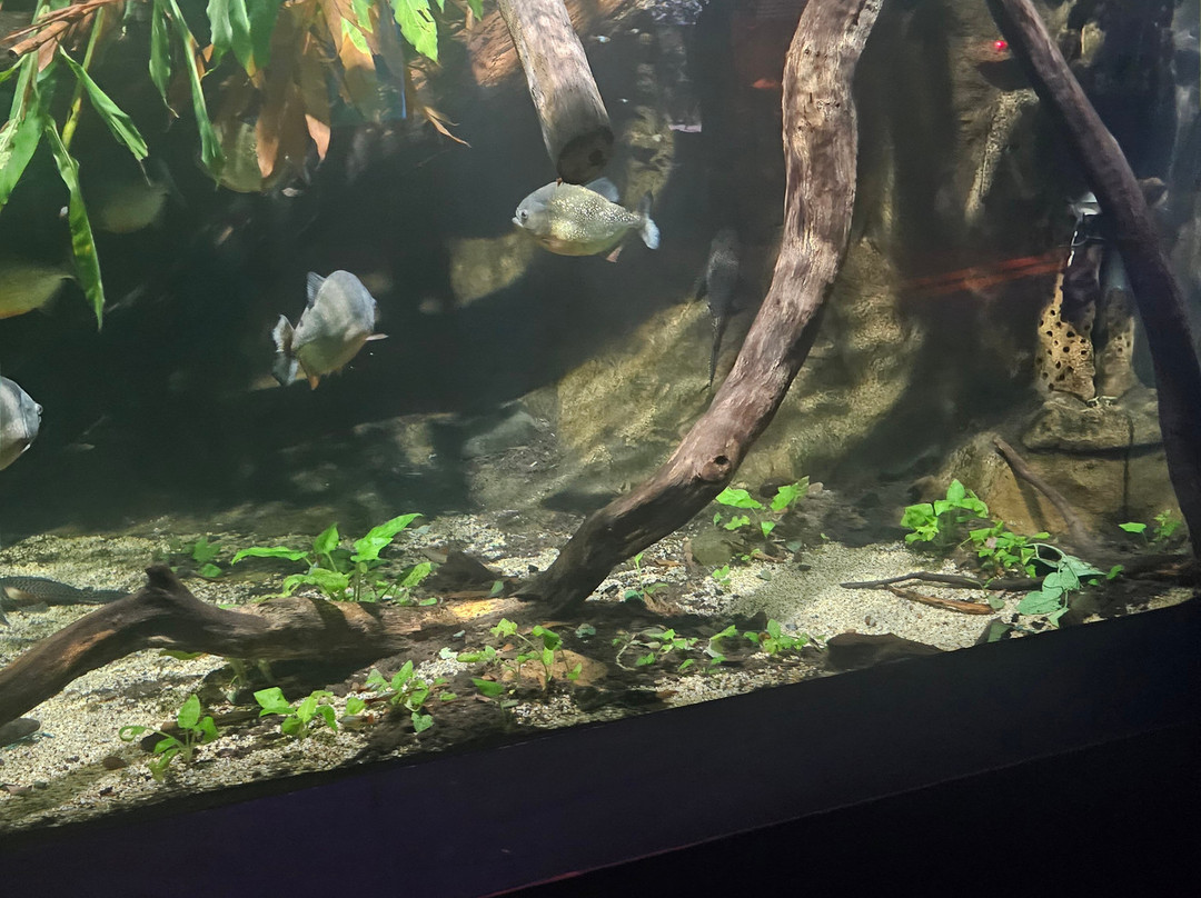 Deep Sea World-北昆斯费里必去景点