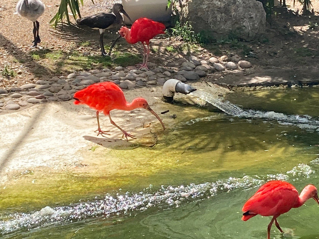 Amazon World Zoo Park-桑当必去景点