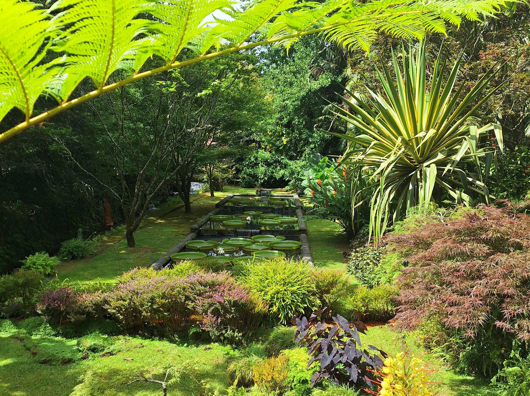 Parque Terra Nostra-富尔纳斯必去景点