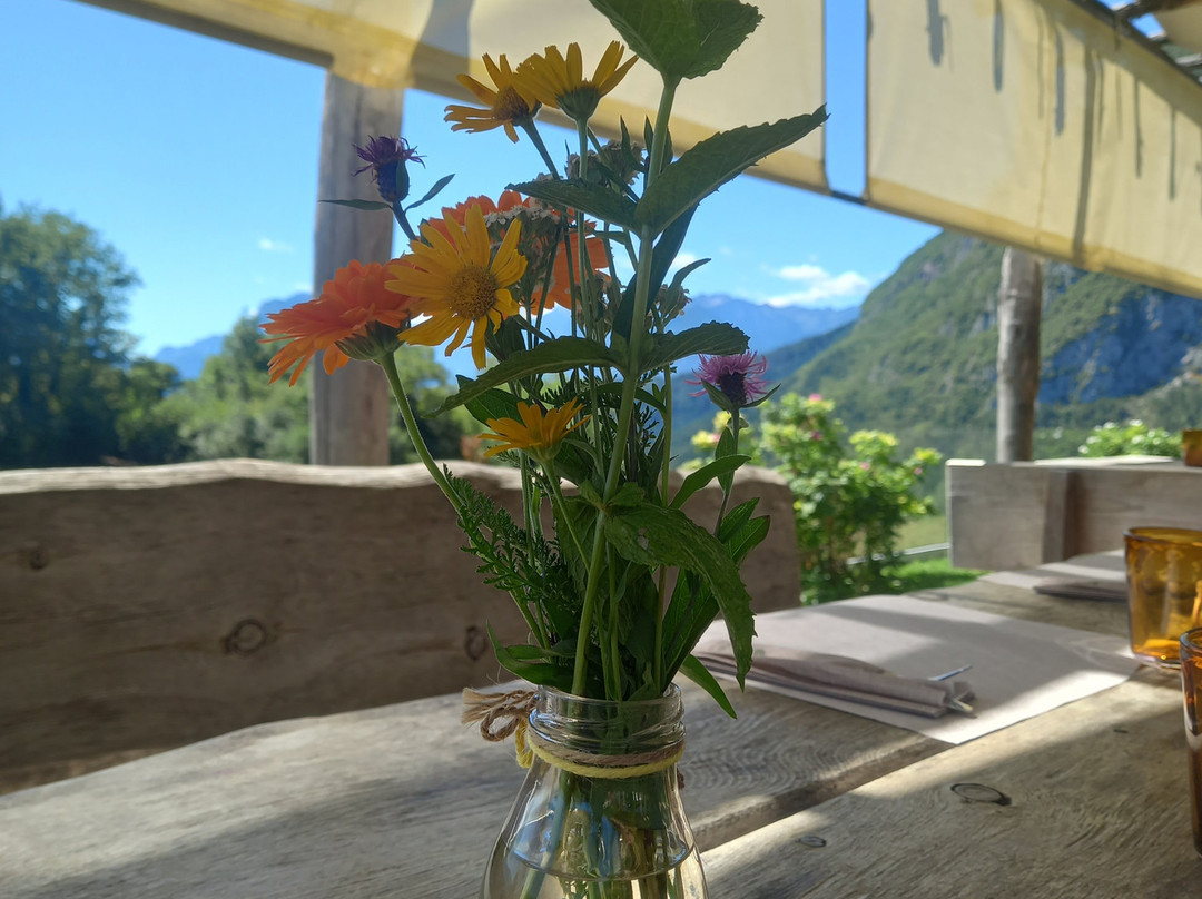 Azienda Agricola & Agriturismo Il Ritorno-San Lorenzo Dorsino必去景点