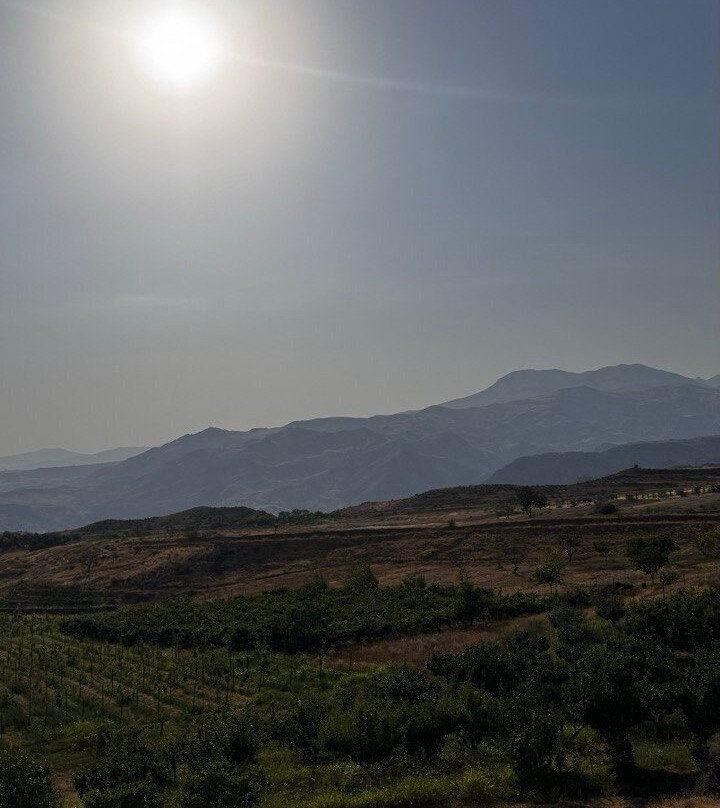 Krya Winery & Vineyard-Vernashen必去景点