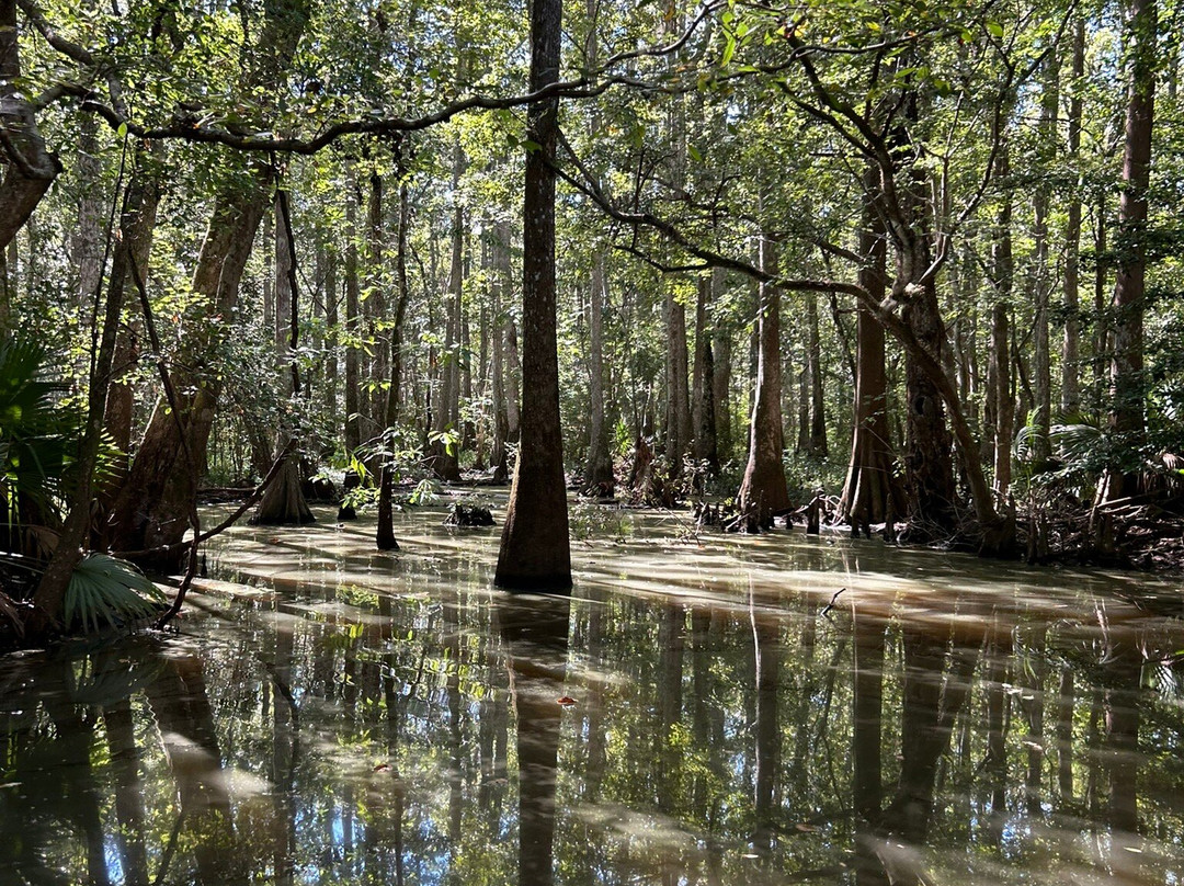 Backwater Tours-圣罗萨海滩必去景点
